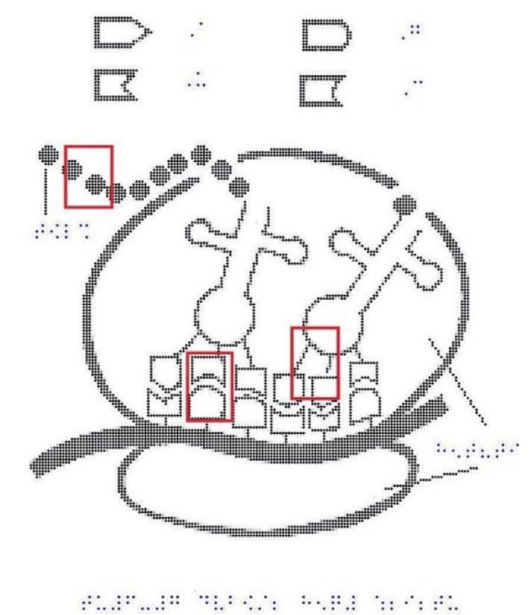 无障碍设计研究：面向视障人群的触觉图形显示设备 科技米乐 M6米乐导报(图3)