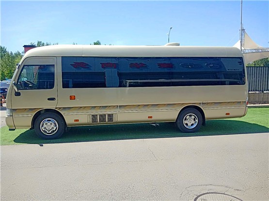 丰米乐 M6米乐田考斯特12座报价 新款考斯特价格(图1)