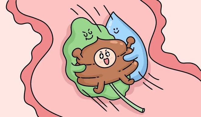 米乐M6 米乐一种让你拉屎更愉快的健康「饮料」很多人竟然不知道！(图3)