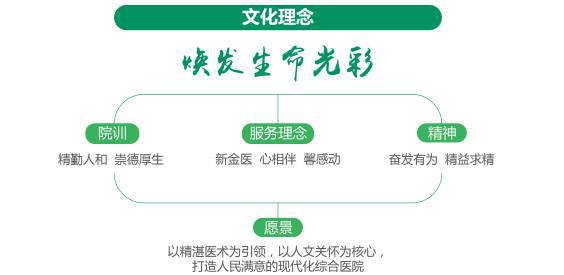 江苏医院文化品牌logo设计案例【大略】金坛区人民医院米乐 M6米乐(图2)