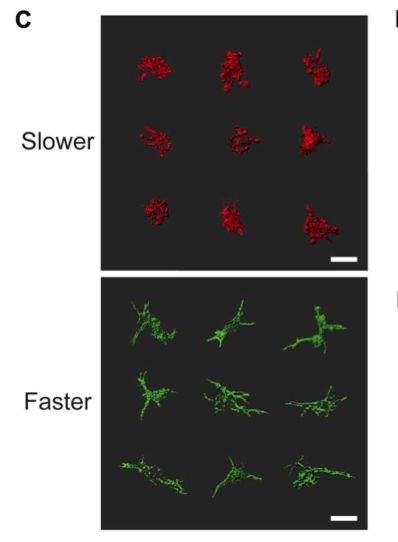 米乐 M6米乐科学家揭示胶原水凝胶新性质助推软骨生物材料设计(图3)
