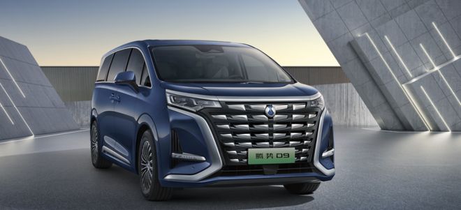 图文丨40万埃尔法平替？腾势D9实至名归米乐 M6米乐(图3)