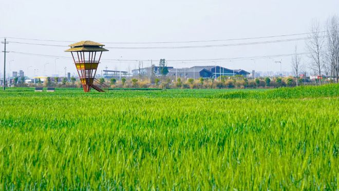米乐M6 米乐雕刻大地 2023首届成都（环城生态区）艺术装置设计大赛作品征集正式启动(图10)