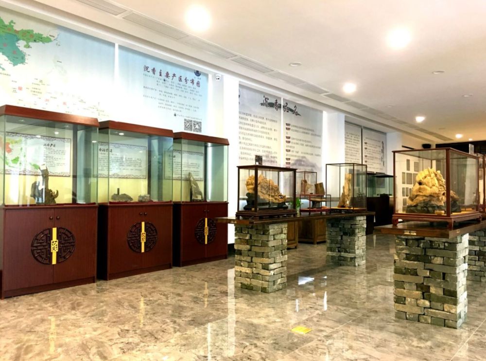 米乐M6 米乐芳馨之旅：探寻五桂山沉香的奥秘(图1)