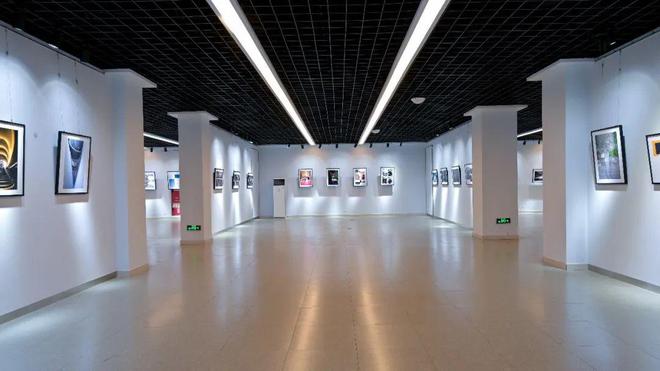 米乐 M6米乐四川省大学生摄影作品展开幕！百余件精彩作品令人赞叹不已(图2)