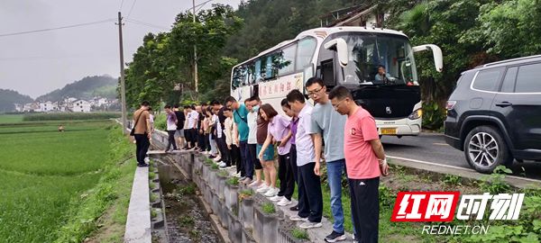 邵阳市水电设计院：开展“主题党日+工程业务培训”助米乐 M6米乐推党建与业务工作紧密结合(图2)