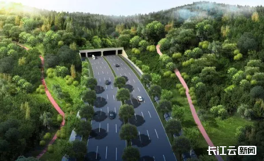 米乐 M6米乐首条！武汉新建市政道路专设小动物通道(图1)