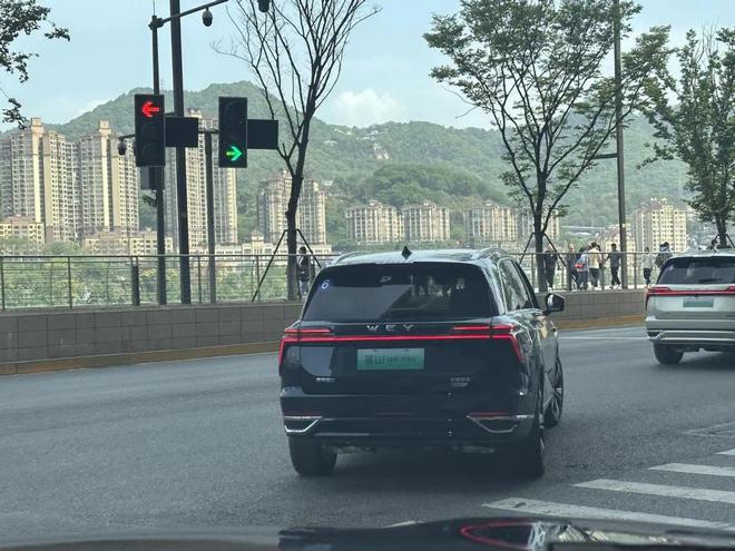 魏牌蓝山月销5136辆直逼理想米乐M6 米乐L8新摩卡能再续“蓝山现象”吗？(图4)