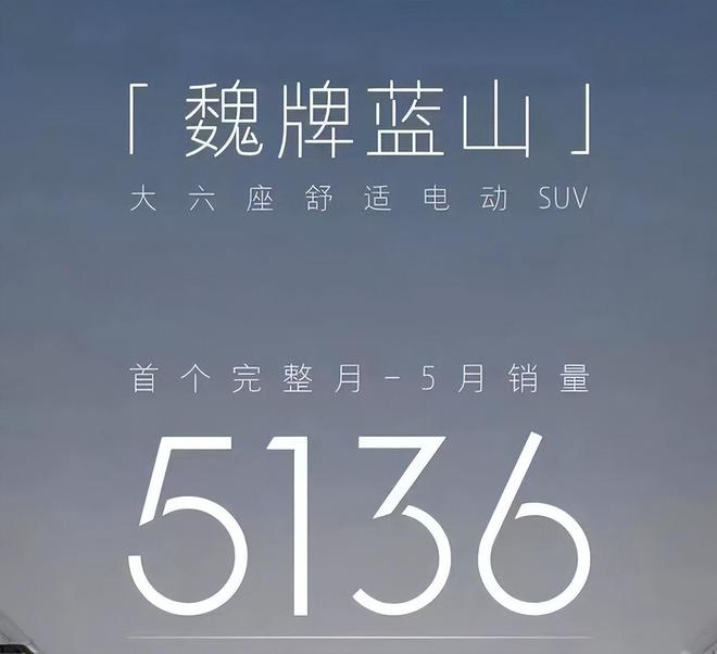 魏牌蓝山月销5136辆直逼理想米乐M6 米乐L8新摩卡能再续“蓝山现象”吗？(图8)