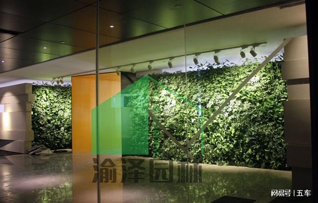 渝泽园林米乐M6 米乐：重庆室内植物墙对空间设计的作用分析(图2)