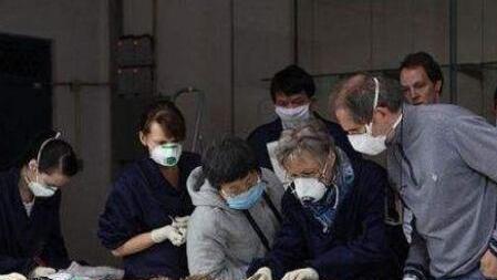 新疆发现一条“破裤子”米乐M6 米乐设计却十分超前专家鉴定后直言了不起(图5)