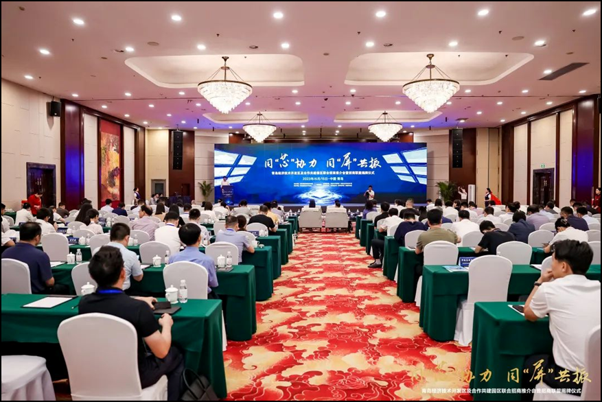 金航标宋仕强参加商务部在青岛举办的“同‘芯’协力、同‘屏’共米乐 M6米乐振”研讨会(图4)