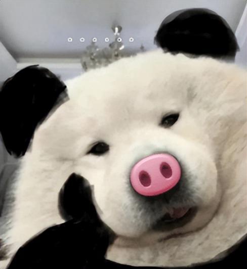 叫玩家亲手设计游戏？逆水寒手游策划把“压力”给到玩家米乐M6 米乐(图3)