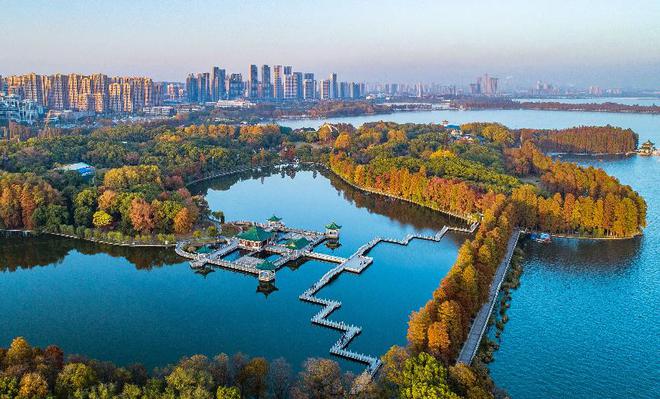 真是牛这所高校在民办高校中在湖北省排第四全国排第六米乐M6 米乐！(图1)