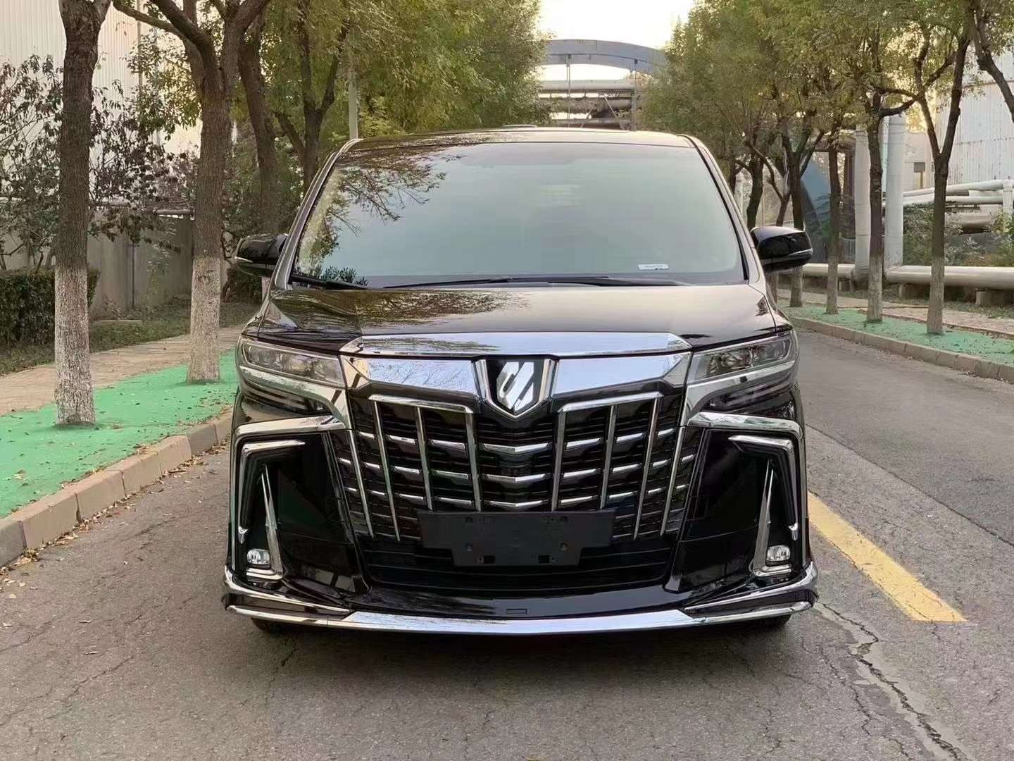 米乐 M6米乐新款埃尔法商务车欢迎到店试驾(图1)