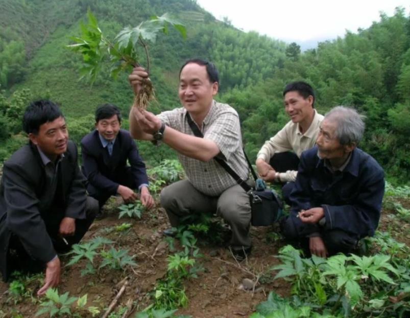 “科特派米乐 M6米乐”的田野和远方(图1)
