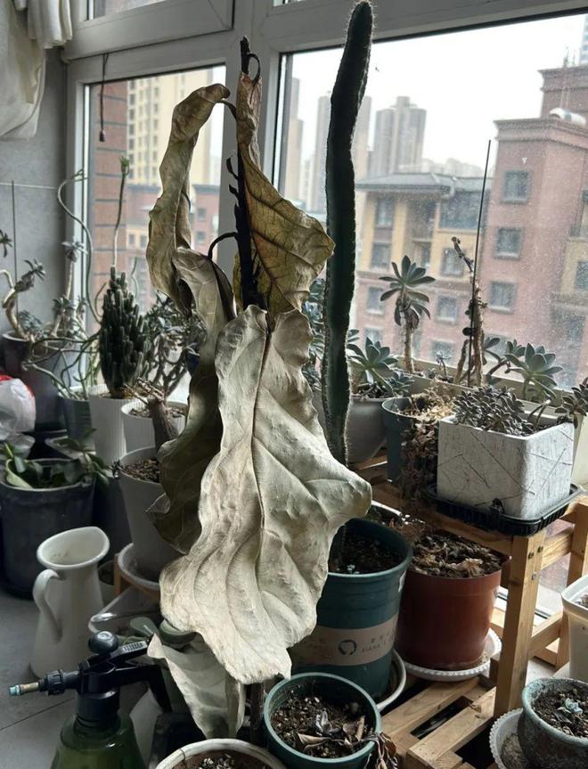 看起来岁月静好实际一言难米乐 M6米乐尽的6个装修设计又花钱又不实用(图7)