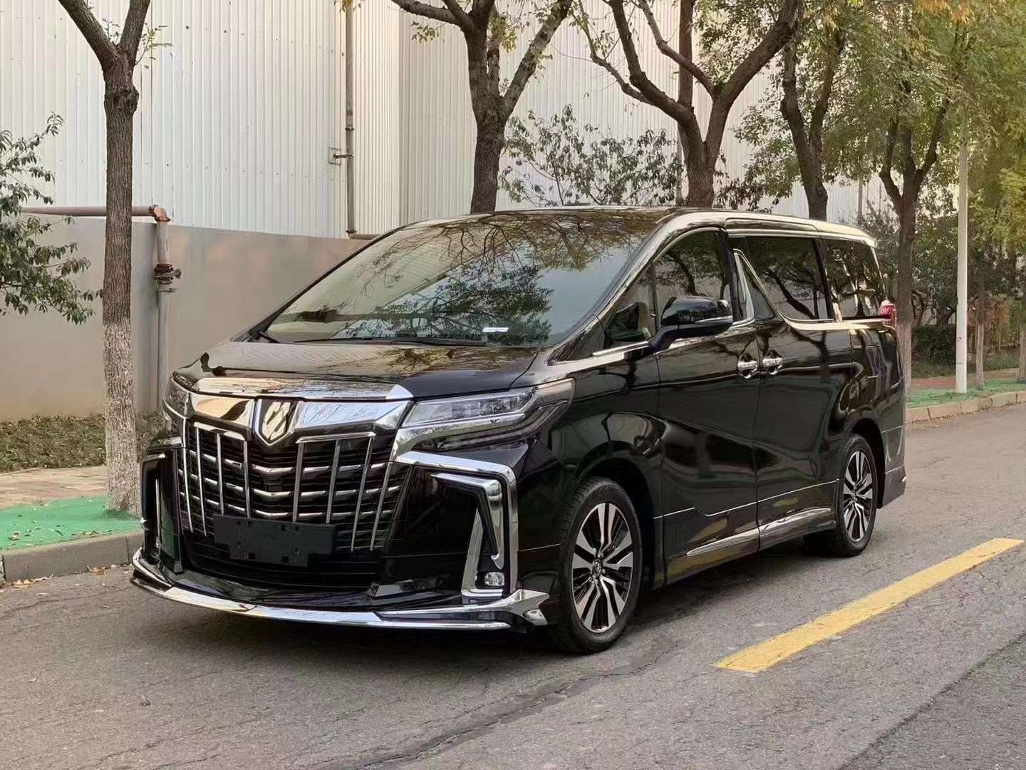 米乐 M6米乐新款埃尔法商务车现车报价(图1)