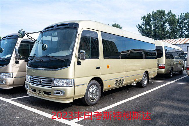 米乐 M6米乐丰田考斯特改装商务车独特木质地板(图5)