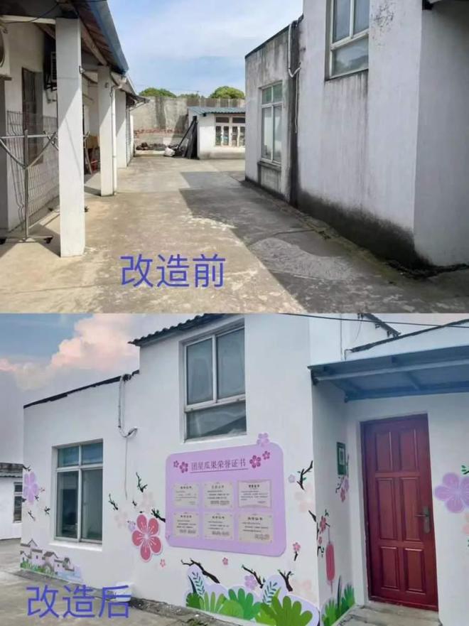 当艺术设计融入乡村振兴会擦出怎米乐M6 米乐样的火花？(图3)