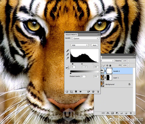 米乐 M6米乐Low Poly神器带你飞！photoshop加插件简单绘制Low-poly风格设计！(图8)