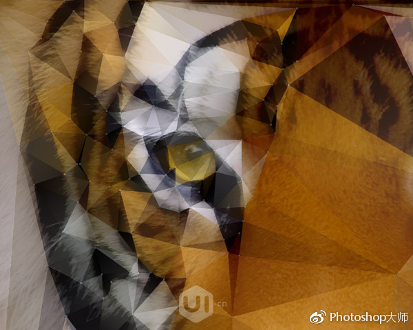 米乐 M6米乐Low Poly神器带你飞！photoshop加插件简单绘制Low-poly风格设计！(图12)