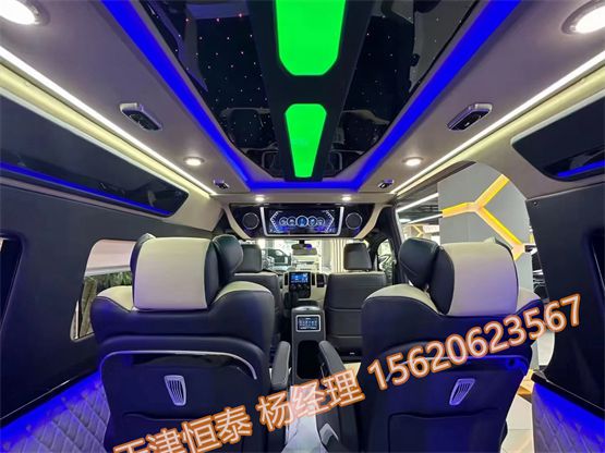 丰田海狮35七座商务车定制升米乐M6 米乐级全国分期(图5)