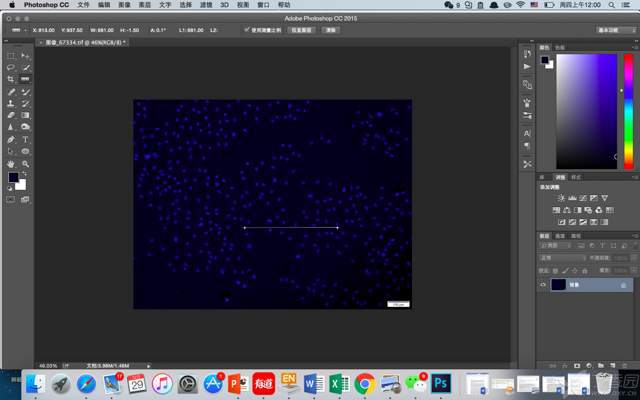ps最新米乐M6 米乐版下载 Adobe Photoshop2023【专业图像处理图片设计软件】(图3)