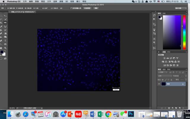 ps最新米乐M6 米乐版下载 Adobe Photoshop2023【专业图像处理图片设计软件】(图4)
