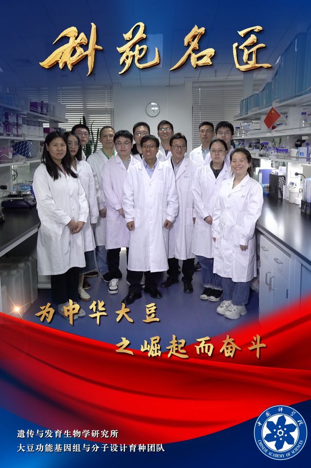 米乐M6 米乐第四届“科苑名匠” 遗传与发育生物学研究所大豆功能基因组与分子设计育种团队：为中华大豆之崛起而奋斗(图1)