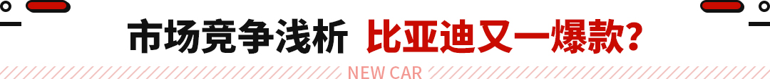 米乐M6 米乐堪称比亚迪最美SUV！全新车型官图发布 平替版帕拉梅拉？(图5)