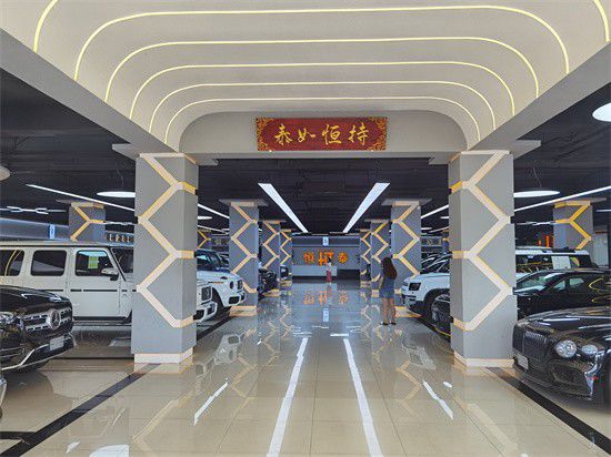 商务接待中的王者奔驰斯宾特多种升级方案米乐 M6米乐(图6)
