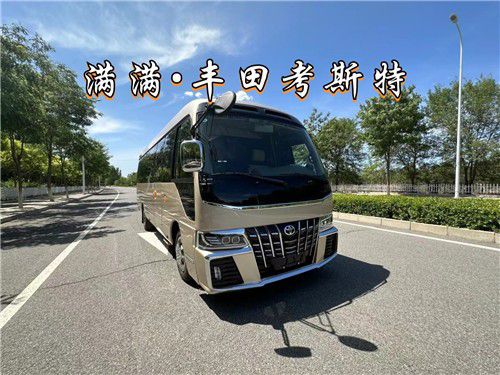 米乐 M6米乐原装进口考斯特中巴车11座 考斯特厂家(图1)