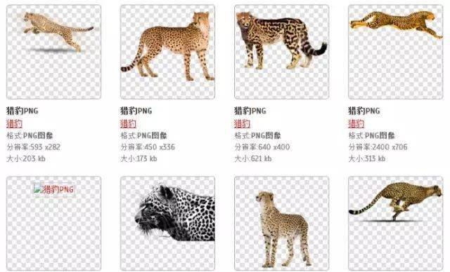 米乐 M6米乐20个无版权、免费、高清图片素材设计网站分享(图12)