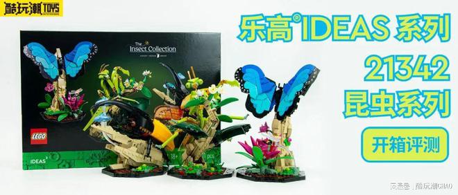 实物很惊艳！乐高ID米乐 M6米乐EAS系列21342昆虫系列开箱评测(图1)