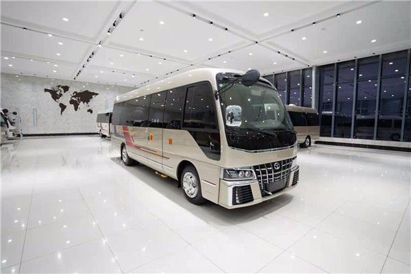 进口丰田考斯特报价 丰田考斯特多米乐 M6米乐少钱(图2)