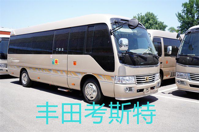2023款丰田考斯特7座商务头等舱房车米乐 M6米乐(图2)