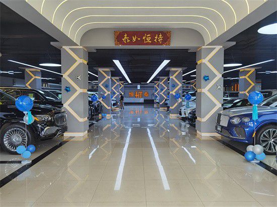米乐 M6米乐奔驰斯宾特豪华商务座驾天津现车促销(图6)