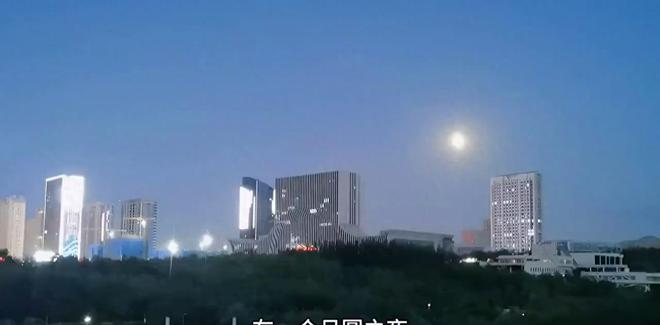 在一个月圆之夜it工程师和设计师在相亲中相遇米乐 M6米乐(图1)