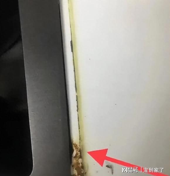 厨房装修有这9个不装设计师如果没跟米乐 M6米乐你说赶紧换(图8)