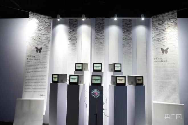 天鹤十年国际创新设计大展在宁波海曙举行米乐M6 米乐(图2)