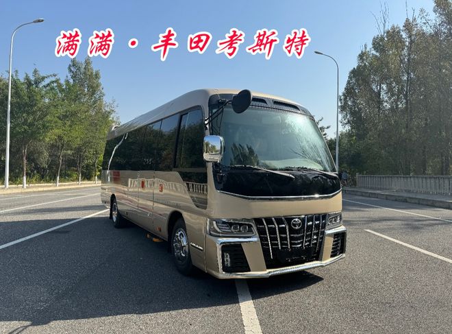 丰田考斯特商务旅行车8座豪华定制版米乐M6 米乐现车(图1)