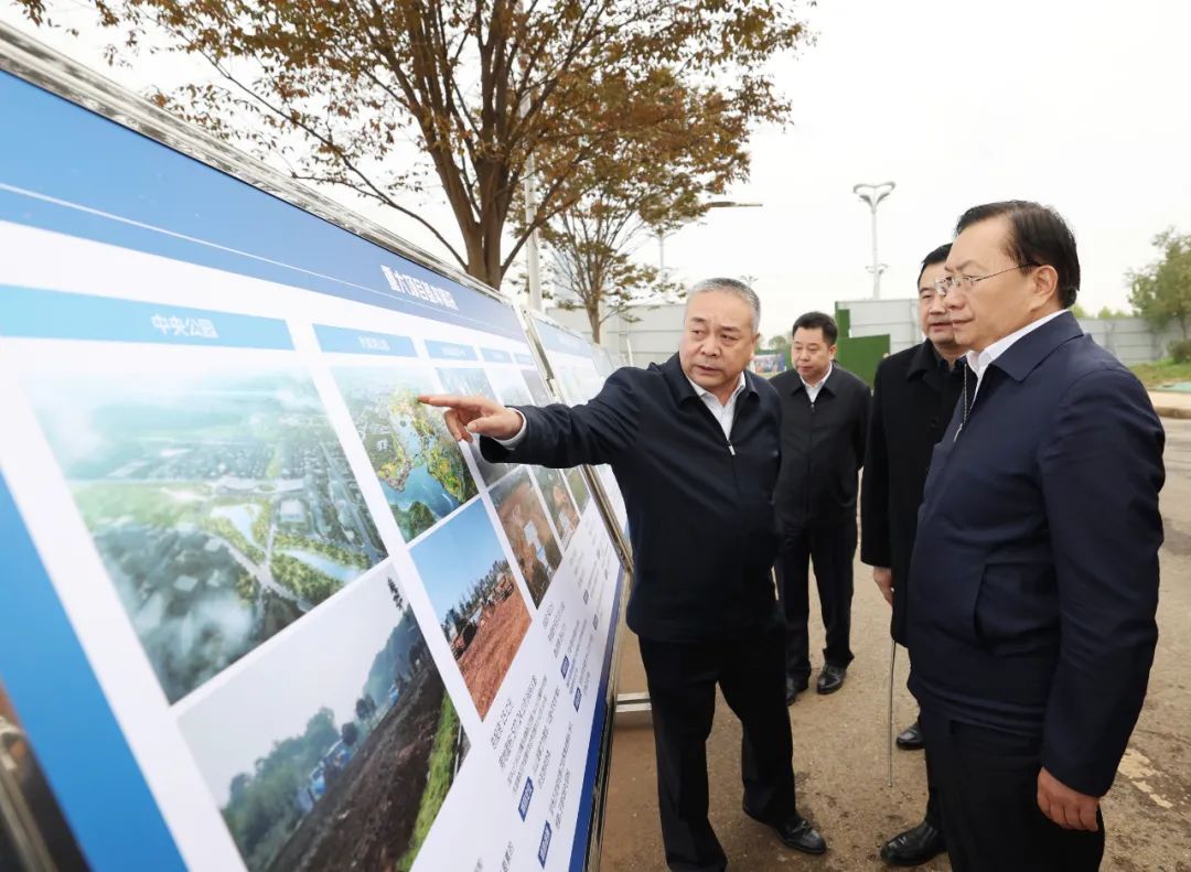王忠林调研武汉新城建设(图1)