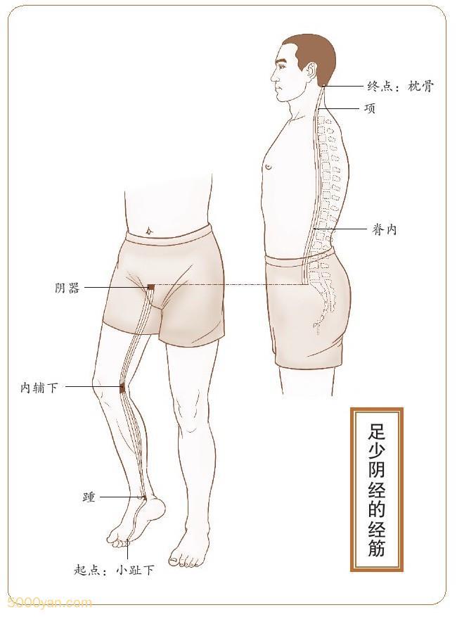 Tekla Structures【钢结构设计软件】安装包资源下载！(图1)