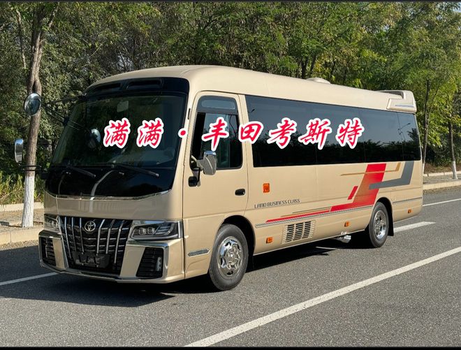 丰田考斯特8座单人床取消卫生间商务车设计(图1)