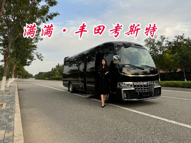 宜春 丰田考斯特黑曼巴12座商务车价格(图1)