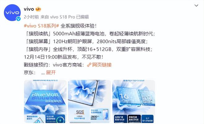 人像升级与东方设计兼备vivo S18系列将发布(图2)