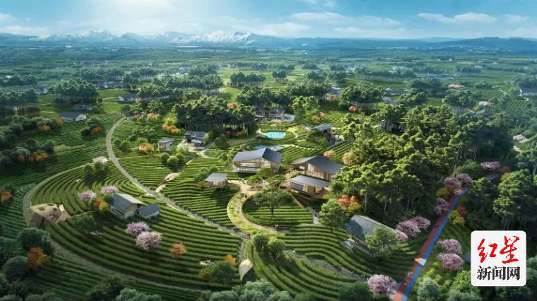 从科技到金融——成都（蒲江）国际田园生态商务区再获重大赋能(图3)