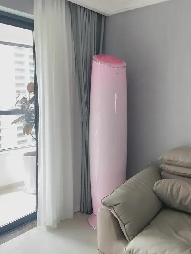 董明珠亲自设计3万元的玫瑰空调销量惊人我却笑死在了评论区！(图3)