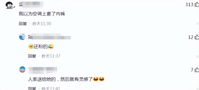 董明珠亲自设计3万元的玫瑰空调销量惊人我却笑死在了评论区！(图19)